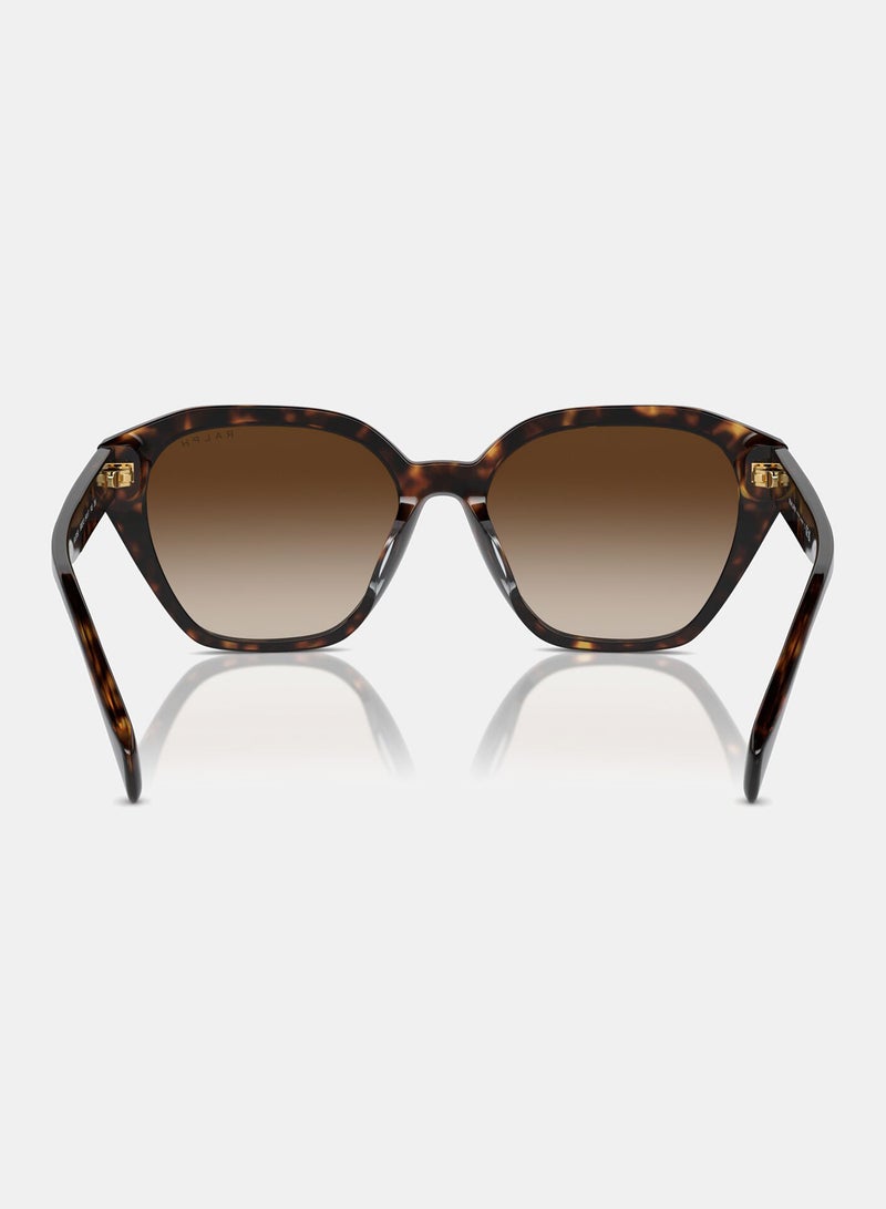 رالف نظارة شمسية بإطار كامل عين القطة 0RA5315U - Image 3